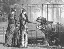 A Victorian zoo